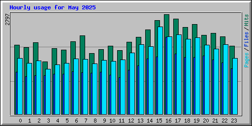 Hourly usage for May 2025
