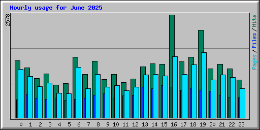 Hourly usage for June 2025
