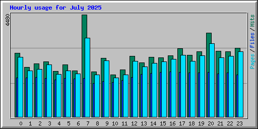 Hourly usage for July 2025