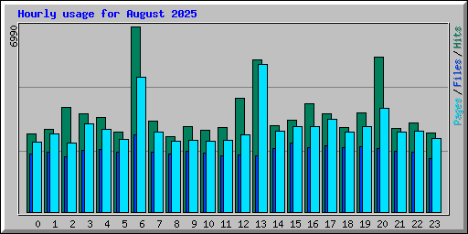 Hourly usage for August 2025