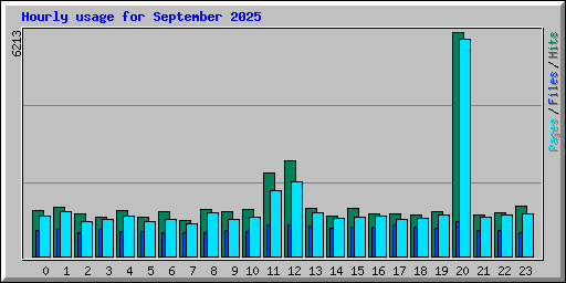 Hourly usage for September 2025