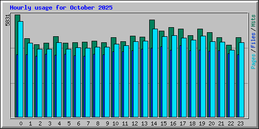 Hourly usage for October 2025