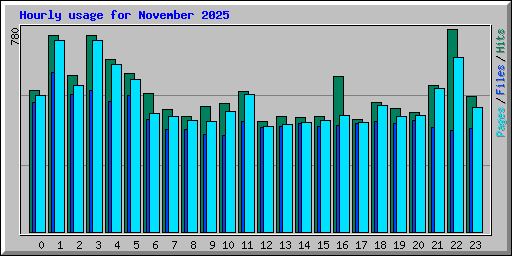 Hourly usage for November 2025