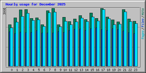 Hourly usage for December 2025