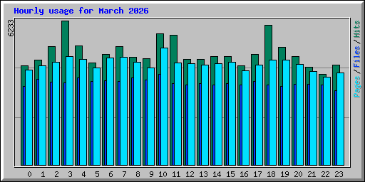 Hourly usage for March 2026